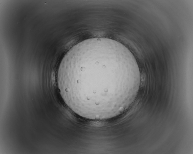 X0000088220238200705151035