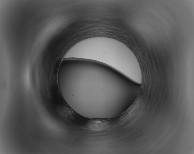 X0000088220239200705151035