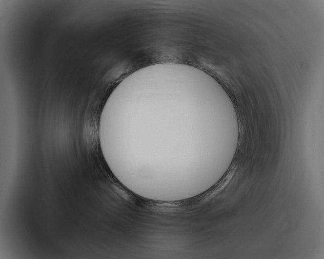X0000088220240200705151035