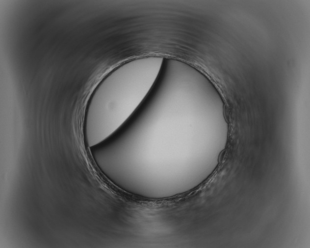 X0000088220241200705151034