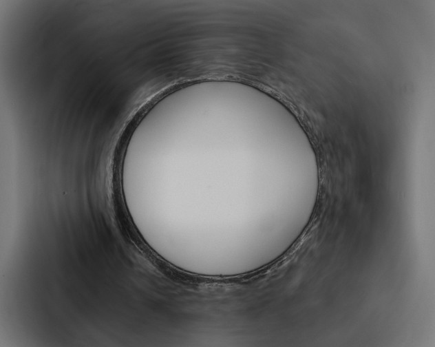 X0000088220242200705151034