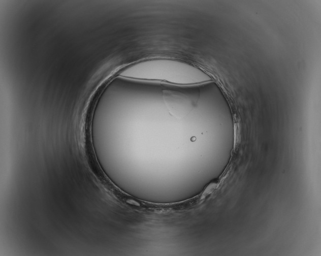 X0000088220243200705151034