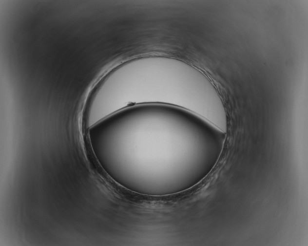 X0000088220244200705151034