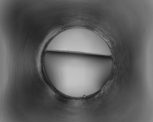 X0000088220245200705151034