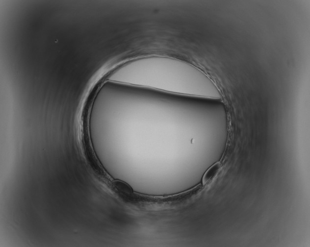 X0000088220246200705151034