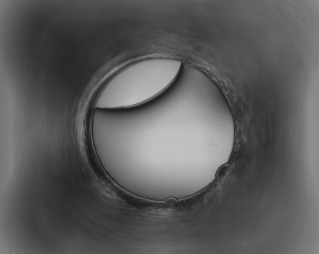 X0000088220247200705151034