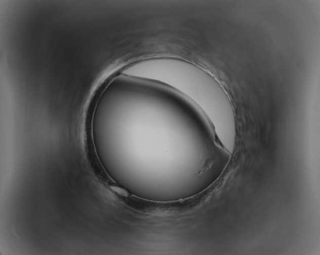 X0000088220248200705151034