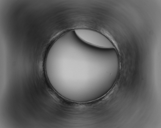 X0000088220249200705151034