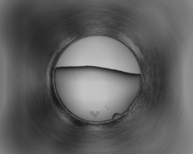 X0000088220250200705151034