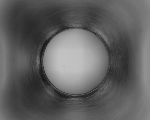 X0000088220251200705151035