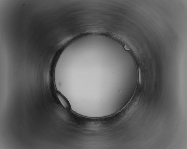 X0000088220252200705151035
