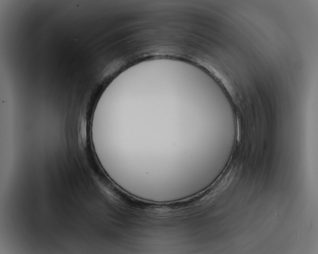 X0000088220253200705151035