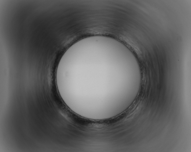 X0000088220255200705151035