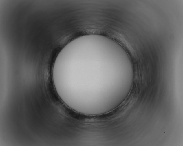 X0000088220259200705151035