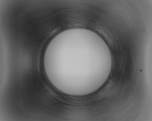 X0000088220260200705151035