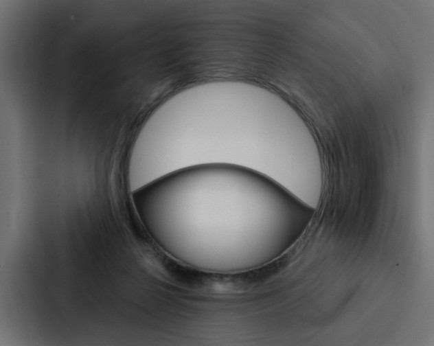 X0000088220264200705151035