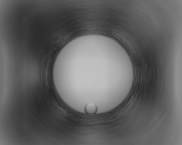 X0000088220268200705151035