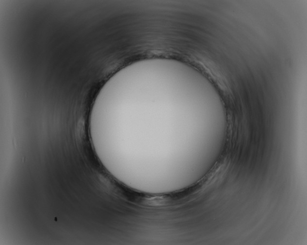 X0000088220269200705151035