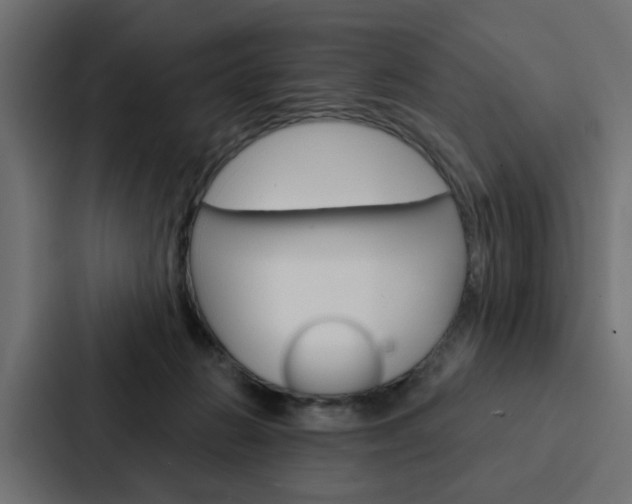 X0000088220270200705151035
