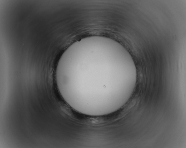 X0000088220275200705151035