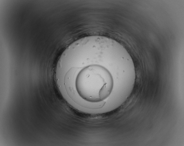 X0000088220278200705151035