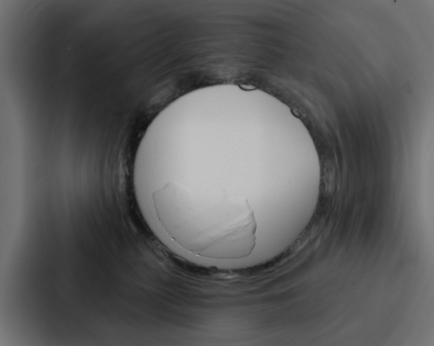 X0000088220279200705151035