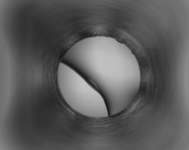 X0000088220281200705151035