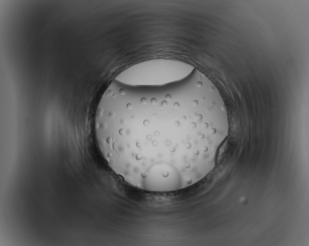 X0000088220282200705151035
