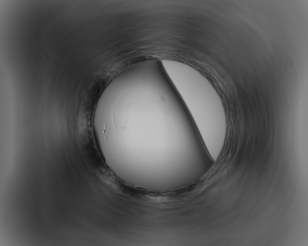 X0000088220284200705151035