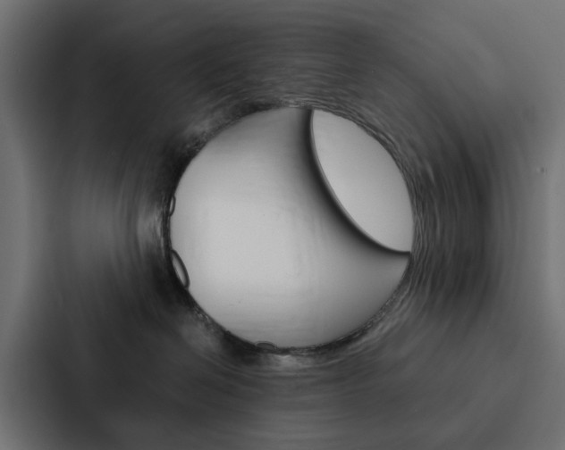 X0000088220286200705151035