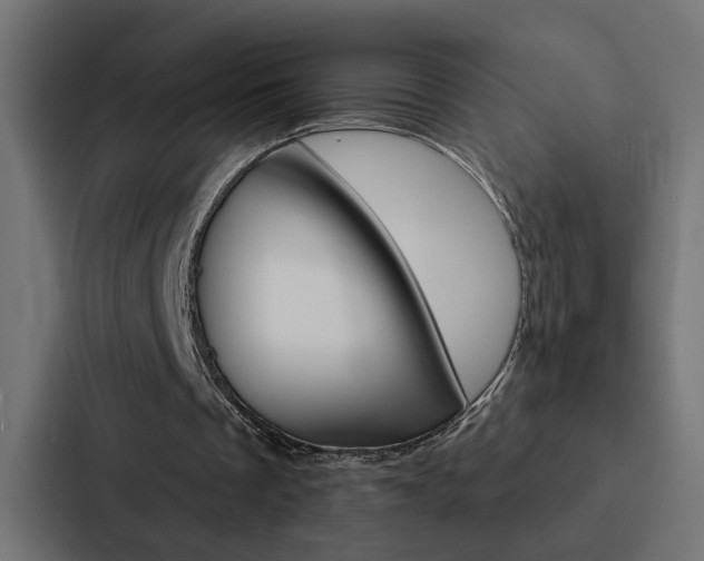 X0000088220289200705151034