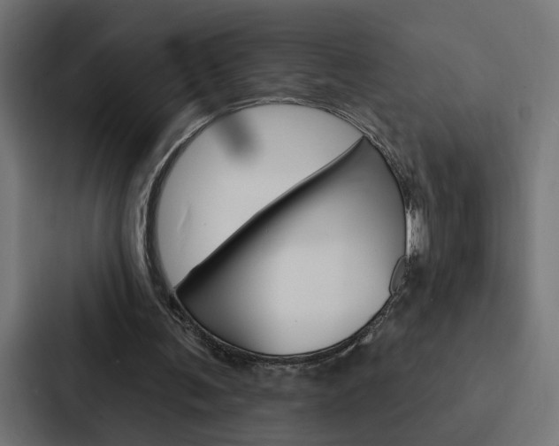 X0000088220291200705151034