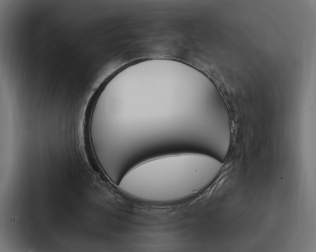 X0000088220292200705151034