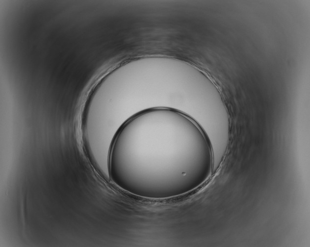 X0000088220293200705151034