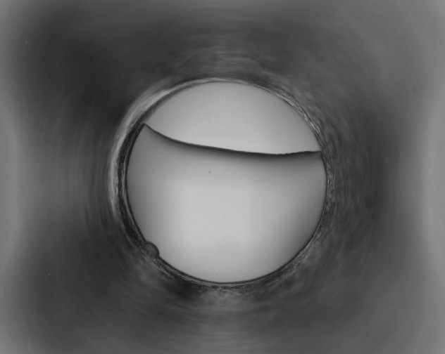 X0000088220294200705151034