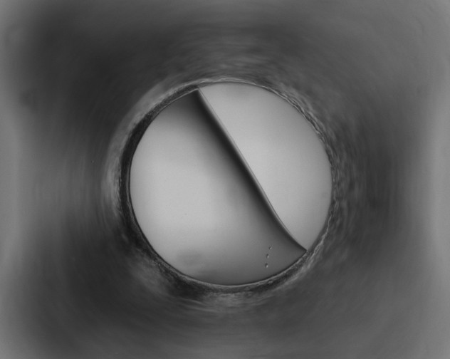X0000088220295200705151034