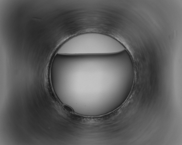 X0000088220297200705151034