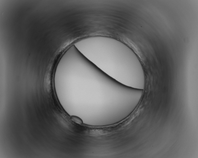 X0000088220298200705151034