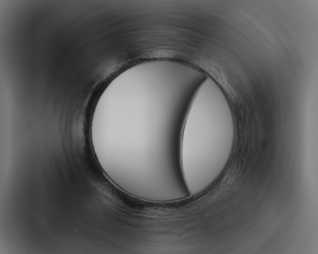 X0000088220300200705151034