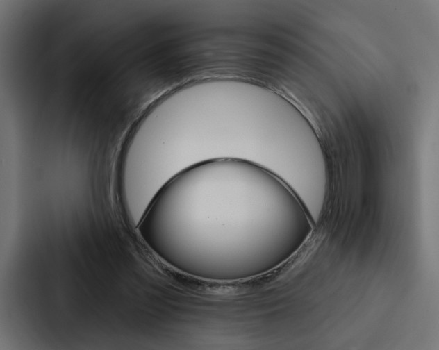 X0000088220301200705151034