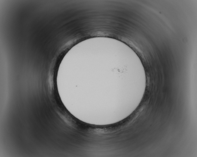 X0000088220302200705151034