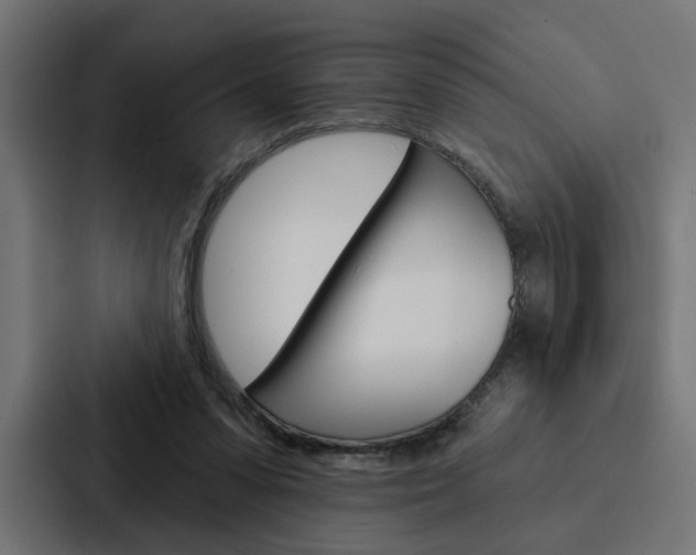 X0000088220303200705151034