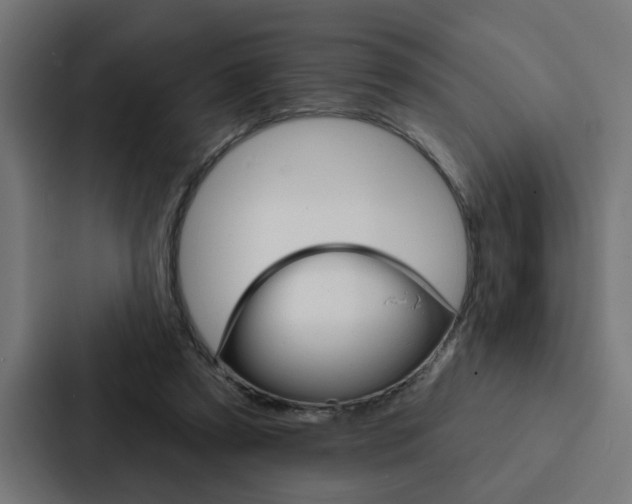 X0000088220305200705151034