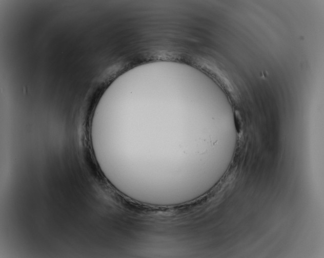 X0000088220306200705151034