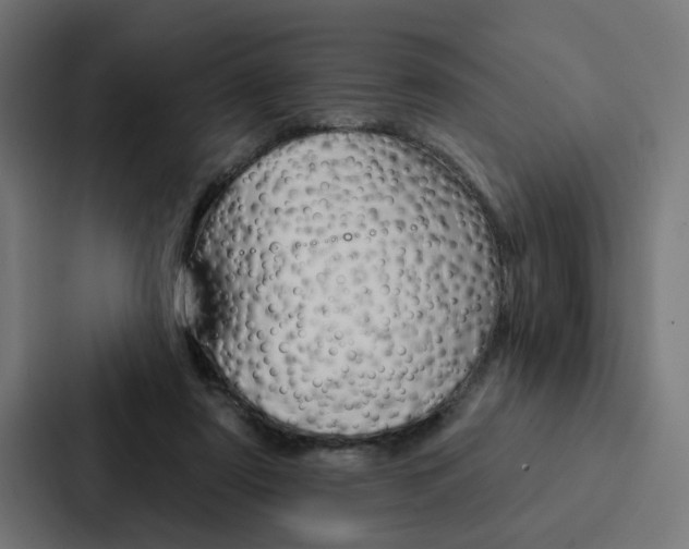X0000088220307200705151034