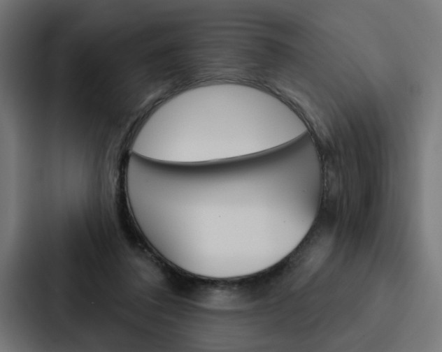 X0000088220308200705151034