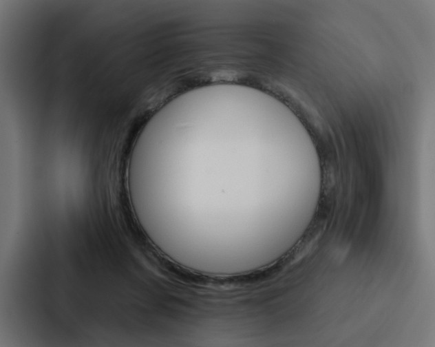 X0000088220311200705151034