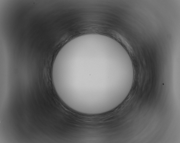 X0000088220313200705151034