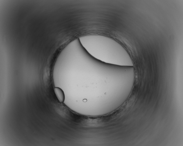 X0000088220314200705151034