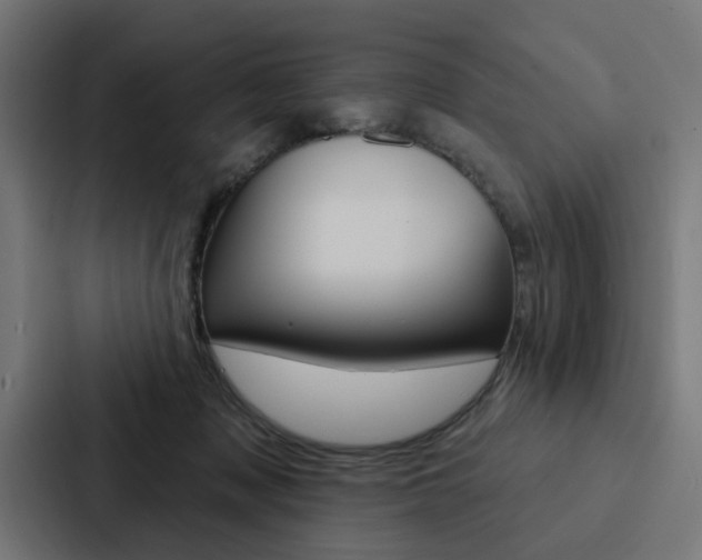 X0000088220317200705151034